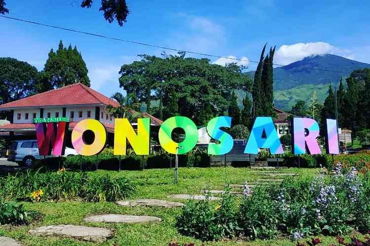 Camping Seru di Kebun Teh Wonosari Malang, Sensasi Menginap di Hamparan Hijau Pegunungan