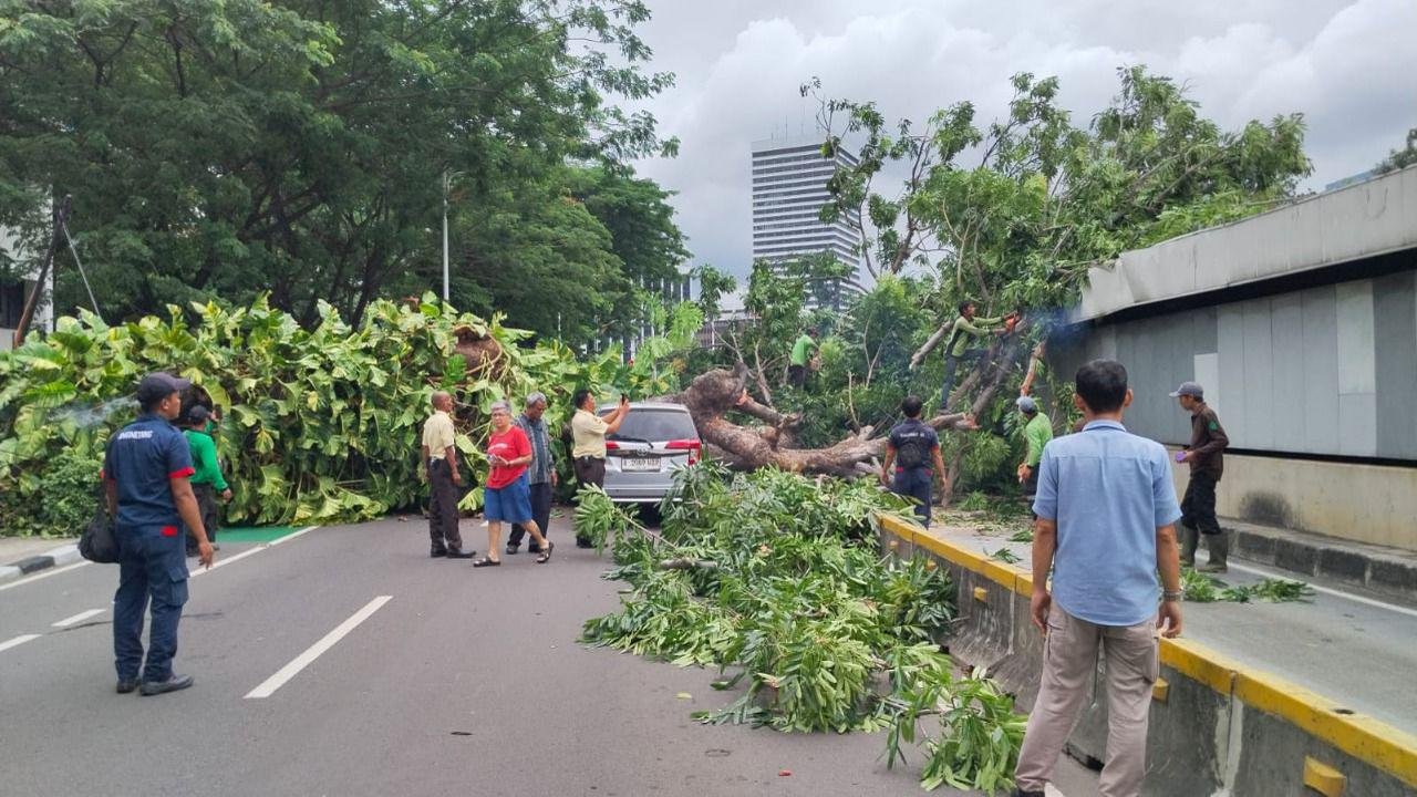 Insiden Pohon Tumbang di Senayan Menghambat Perjalanan MRT Jakarta
