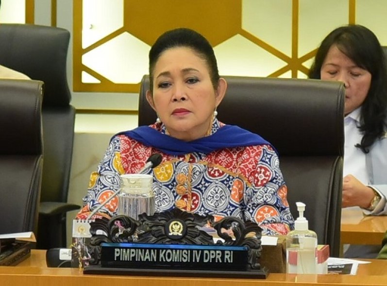 Titiek Soeharto Kritik Pembalakan Liar di Hulu Padang, Serukan Perlindungan Hutan