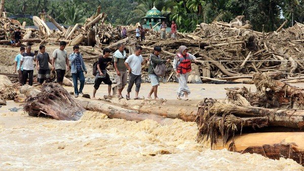 Banjir Kayu di Sumatra, Hanif Sebut Akibat Pembukaan Lahan Sawit