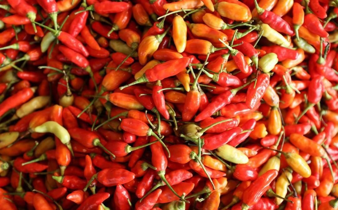 Update PIHPS: Cabai Rawit Tembus Rp72.700/kg, Telur Ayam Rp32.350/kg