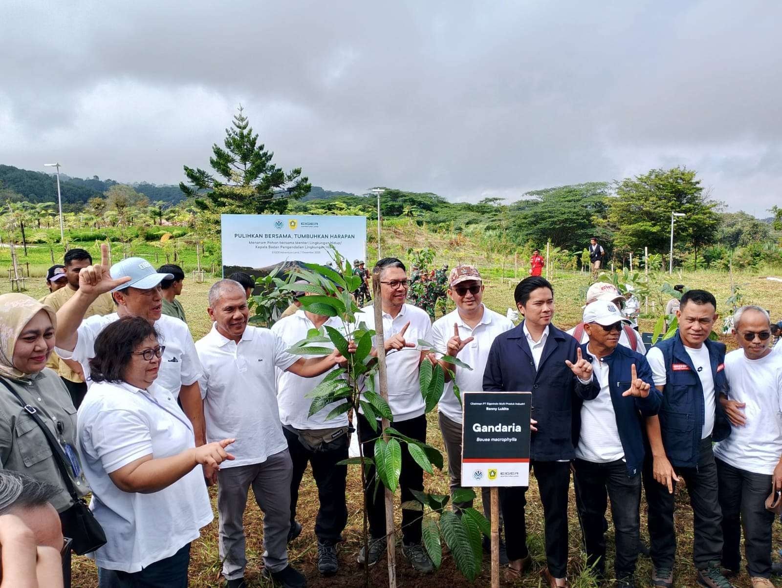 Pemulihan Ekosistem Hulu Puncak: KLH dan EAL Tanam Pohon Endemik dan Bangun Infrastruktur Resapan Air