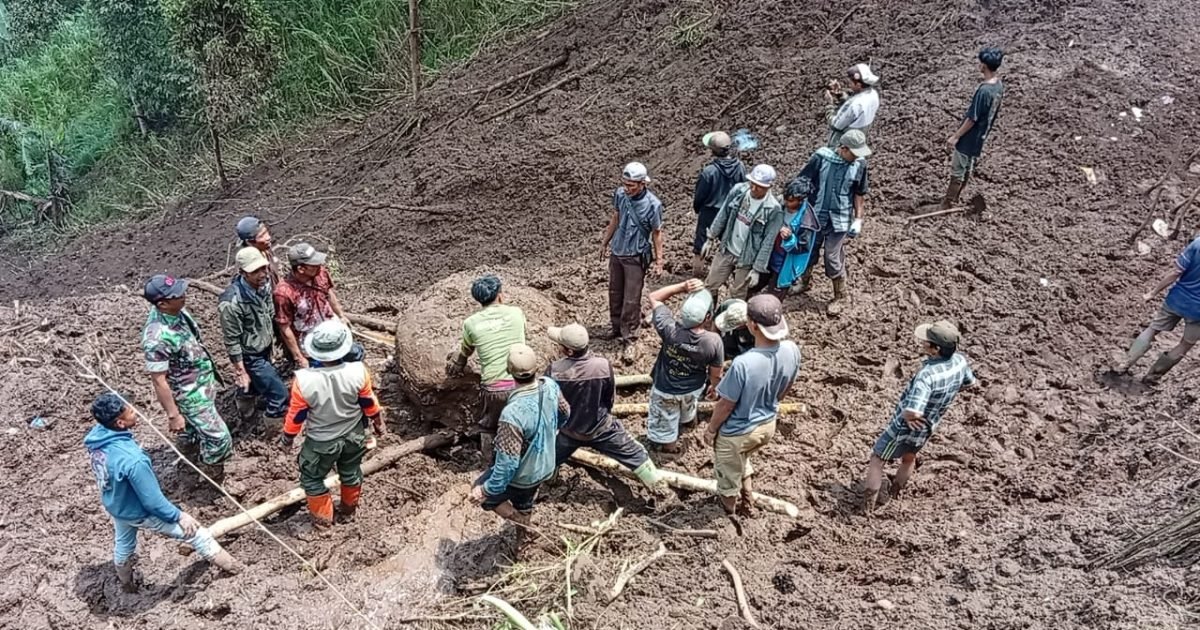 BPBD Probolinggo Sigap Tangani Longsor, Akses Jalan Desa Sapih Kembali Dibuka