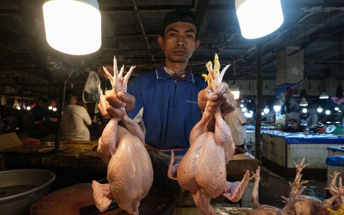 Antisipasi Kenaikan Harga, Pemerintah Perketat Pengendalian Stok Daging Ayam Ras di Pasar