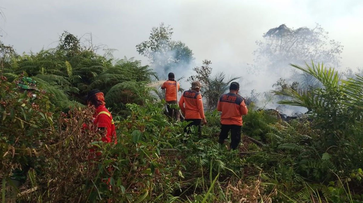 Lima Kabupaten/Kota di Riau Tetapkan Status Siaga Darurat Karhutla