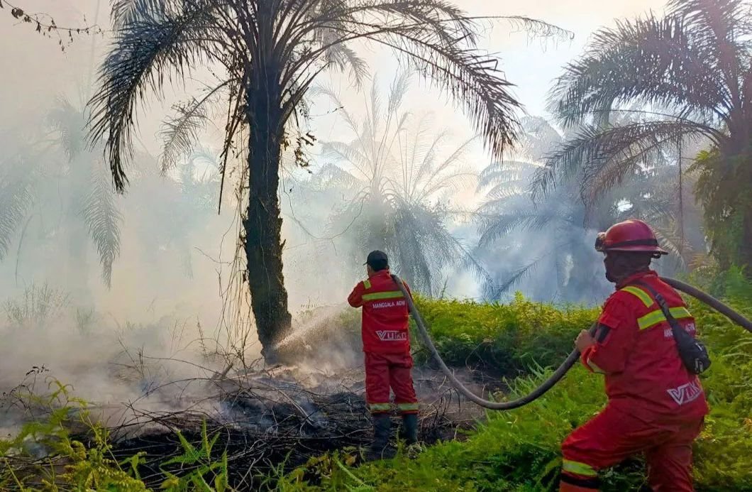 Manggala Agni Berjibaku Padamkan Kebakaran Lahan 20 Hektare di Siak Riau