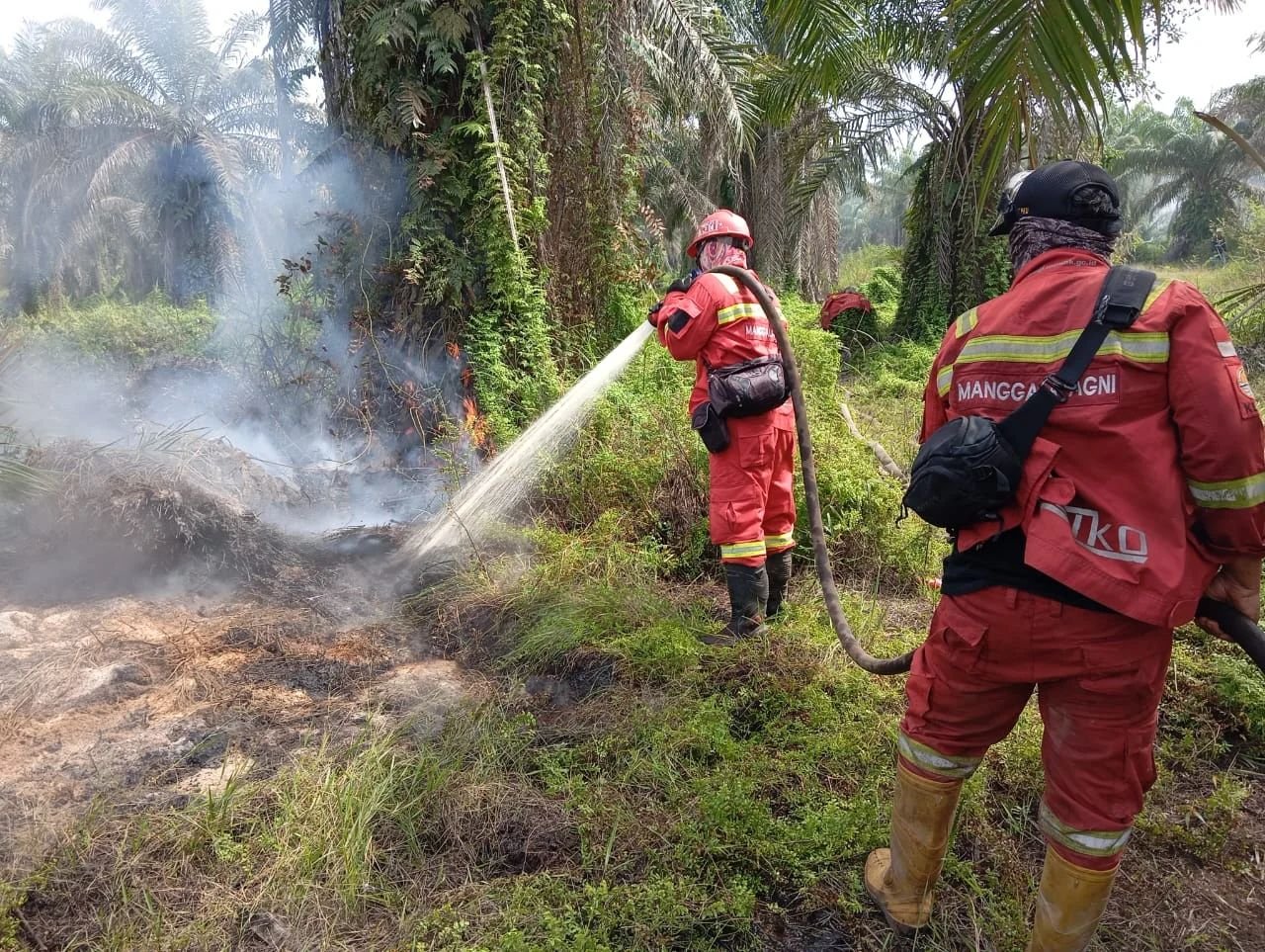 Cuaca Ekstrem Picu Karhutla Riau, Tim Gabungan Kebut Padamkan Api