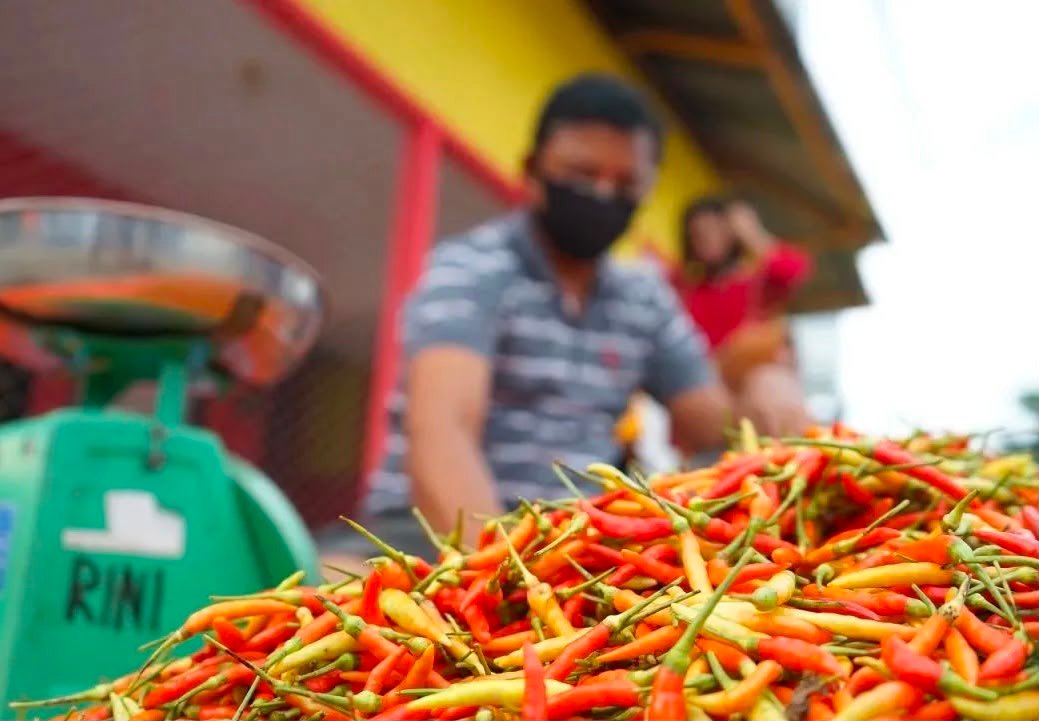 PIHPS Catat Harga Cabai Rawit Rp74.550 per Kg, Telur Ayam Stabil Rp30.100 per Kg