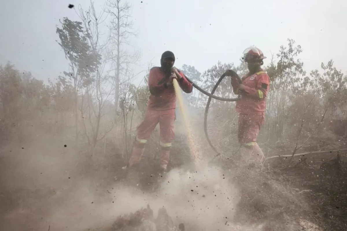 Manggala Agni Catat Lonjakan Karhutla di Riau, Bengkalis dan Pelalawan Terparah