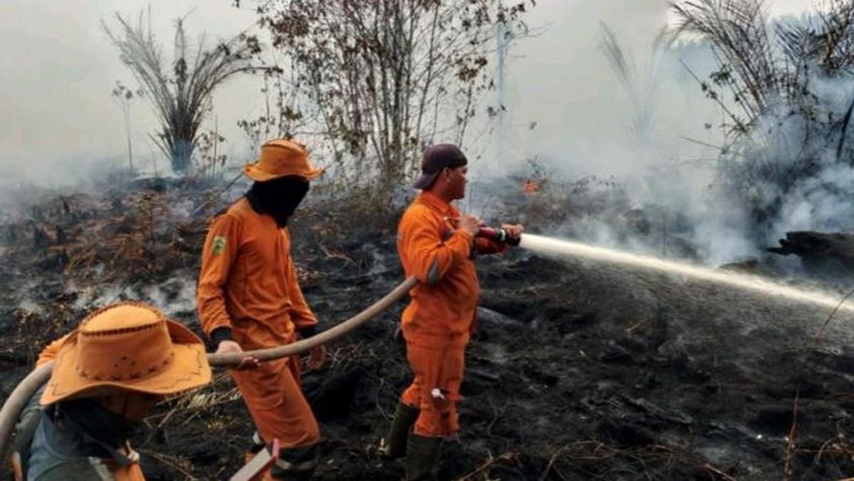 Karhutla di Sumsel Capai 182,54 Hektare pada Januari-April 2026