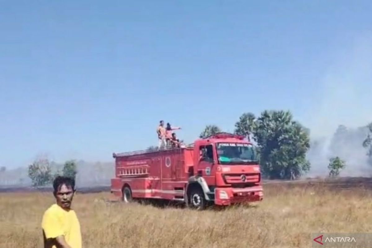 Kelalaian Pembakaran Sampah Diduga Jadi Penyebab Karhutla di Sabu Raijua