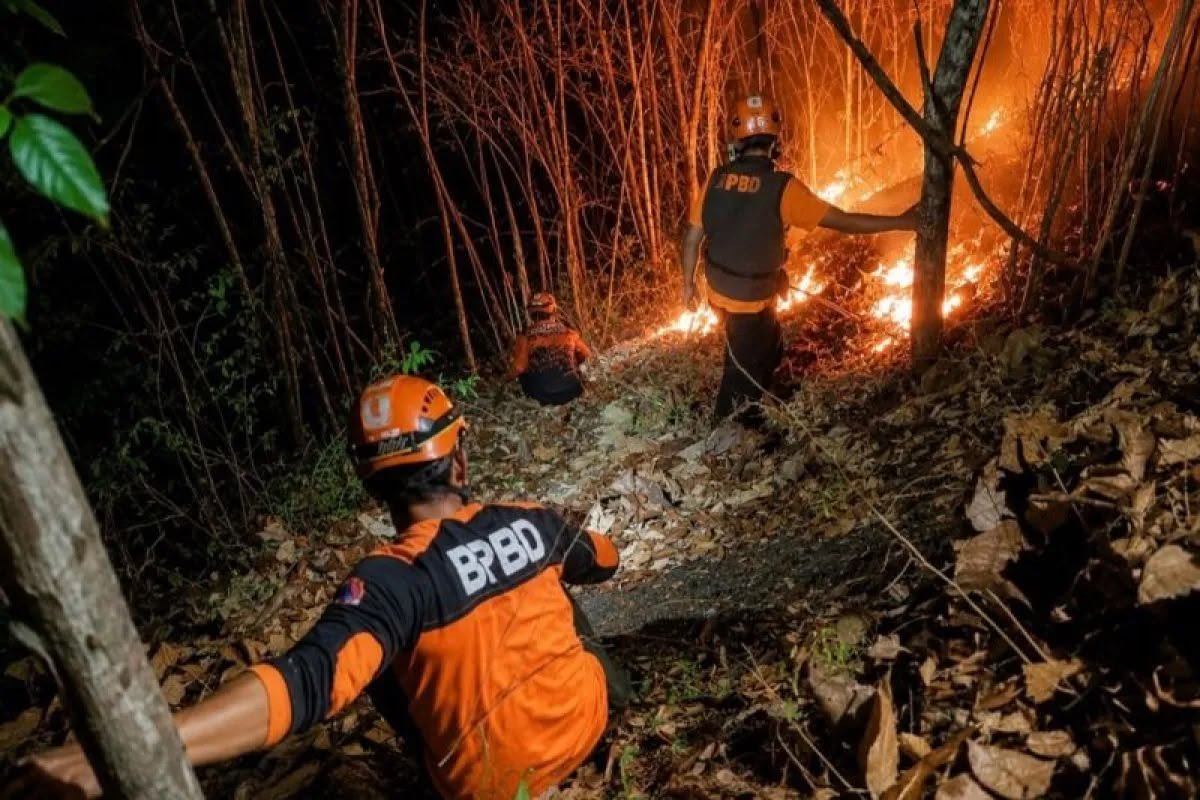 Kebakaran Gunung Puncang Hanguskan Dua Hektare Lahan di Jawa Timur