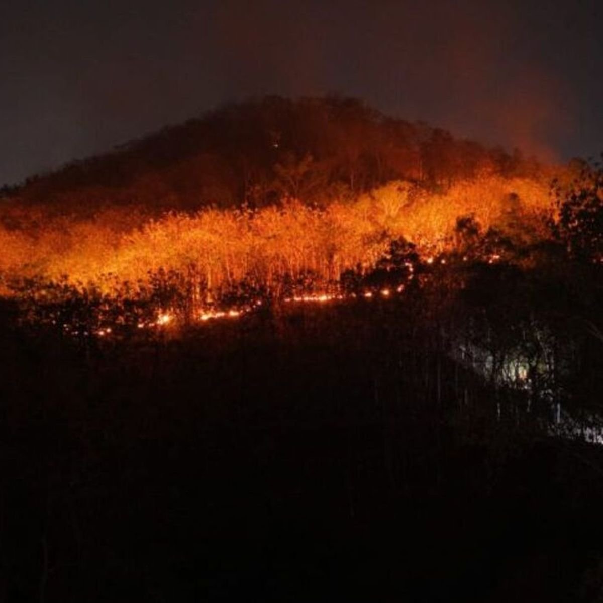 BPBD: Kebakaran Gunung Gombak Ponorogo Hanguskan 15 Hektare, Penyebab Masih Diselidiki