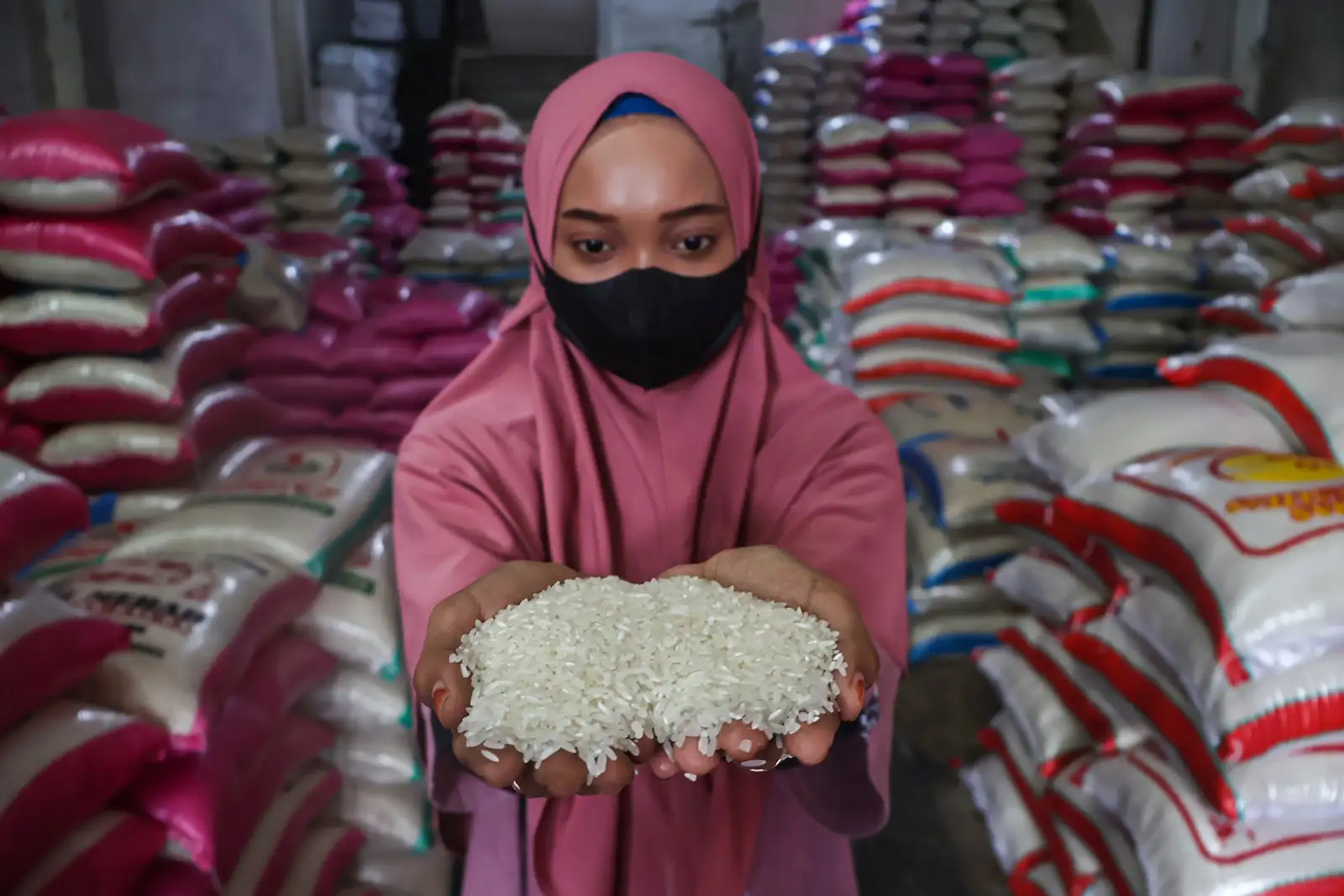 Mentan Amran Janji Harga Beras Turun Pekan Ini