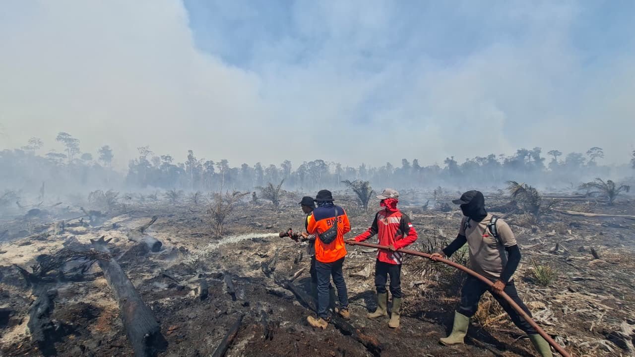 Update Karhutla Nasional: Masih Melanda Enam Provinsi, Luasan Tersisa 96,07 Hektare