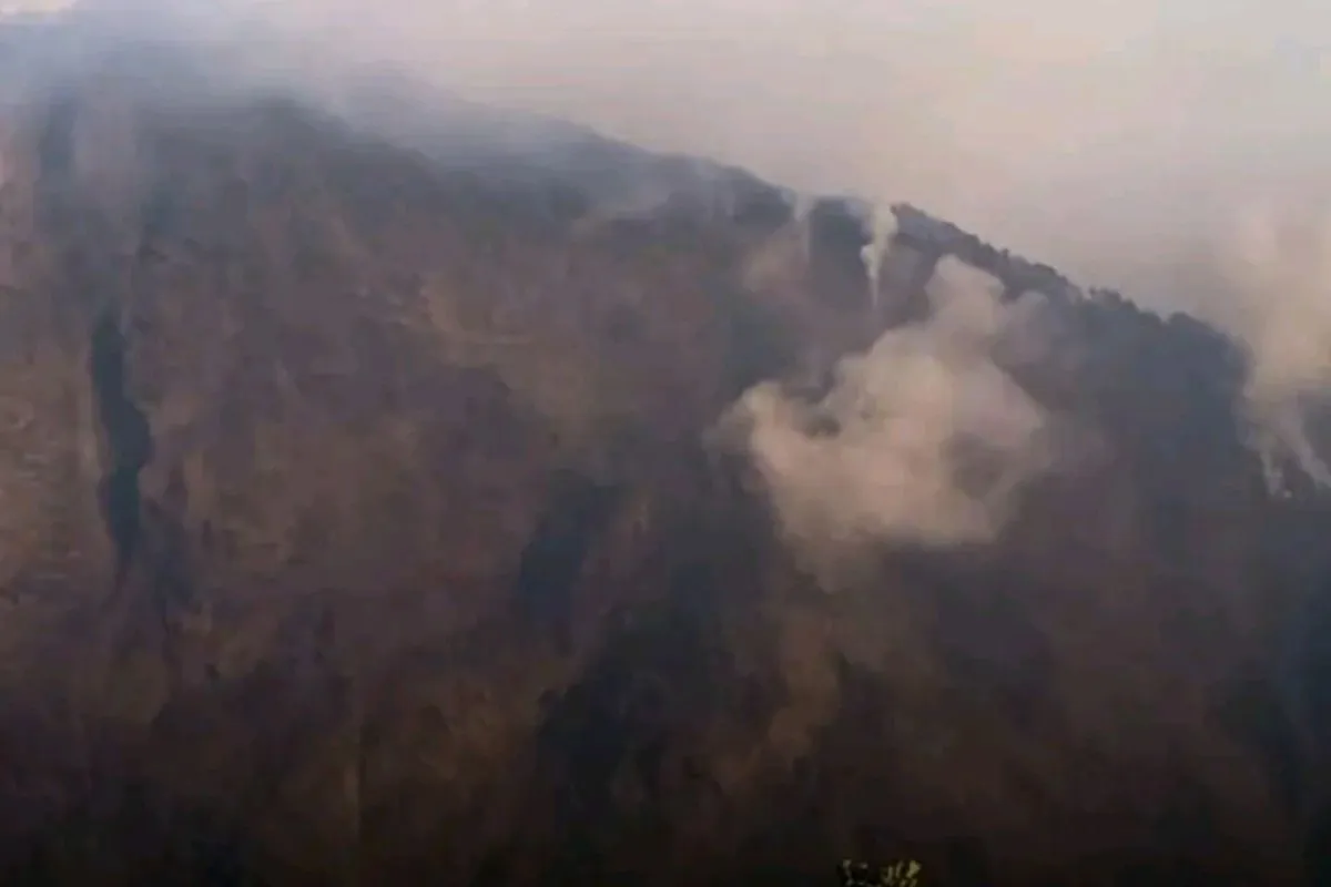 Kebakaran Lahan Gunung Rinjani, Tim Gabungan Bergerak Lakukan Pemadaman
