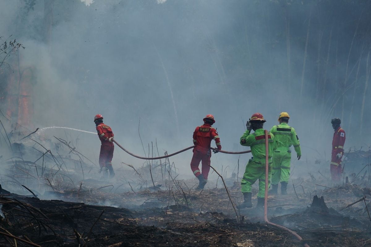 BNPB: 454 Hektare Lahan Karhutla di Enam Provinsi Berhasil Dipadamkan
