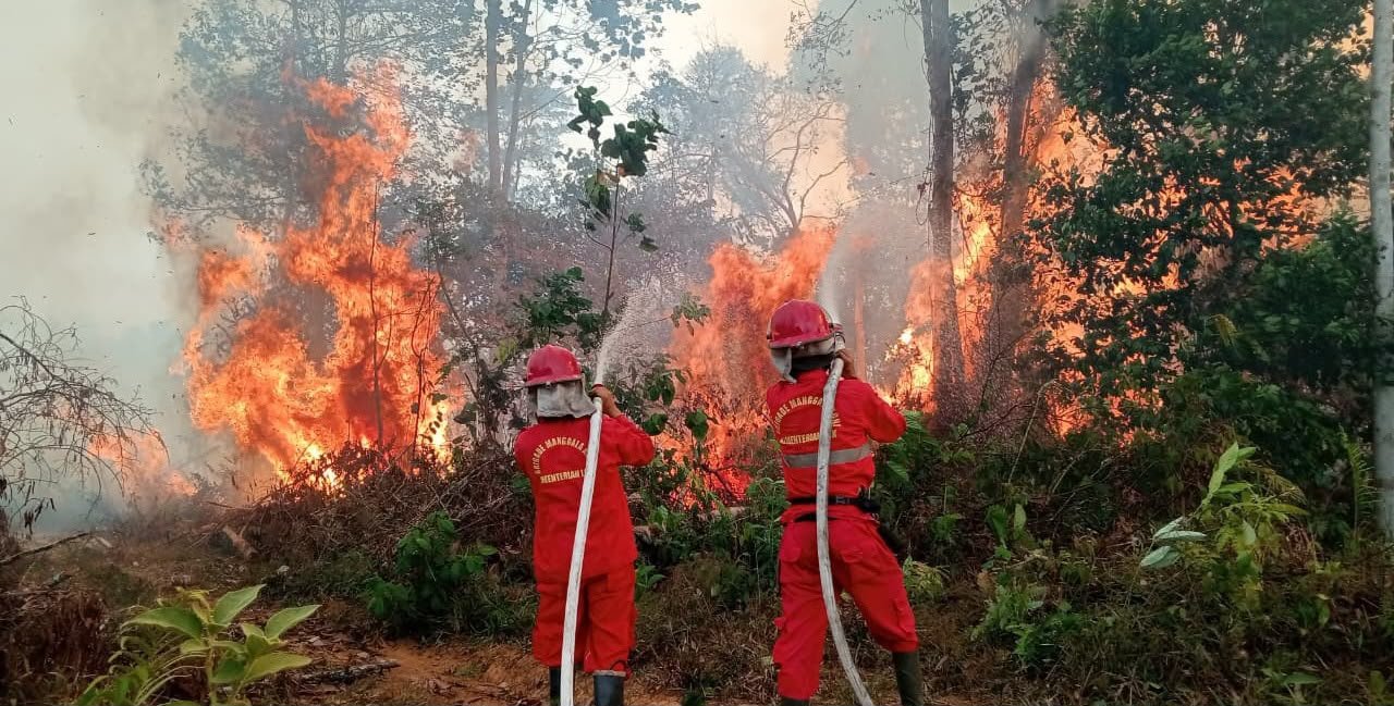 Karhutla Meluas, Ketua DPD Usulkan Pemerintah Kaji Bantuan dari Luar Negeri