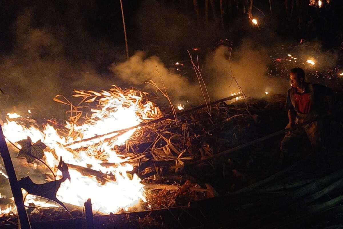 Sidrap Tetapkan Siaga Darurat Kekeringan dan Karhutla Selama 60 Hari